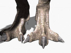 rex nest Modelo 3D