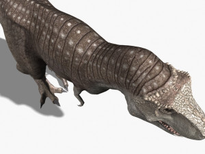 rex nest Modelo 3D
