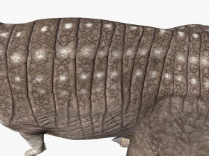 rex nest Modelo 3D