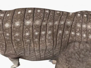 rex nest 3D Model