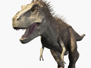 rex nest Modelo 3D