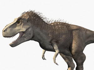 rex nest Modelo 3D