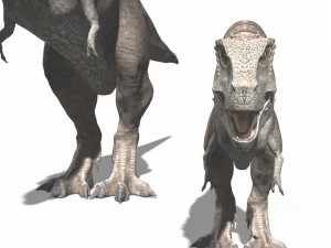 rex nest Modelo 3D