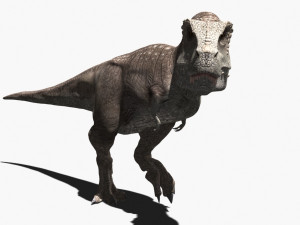 rex nest Modelo 3D
