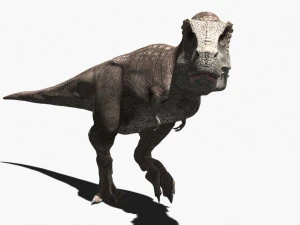 rex nest 3D Model