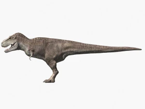 rex nest 3D Model