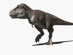 rex nest Modelo 3D