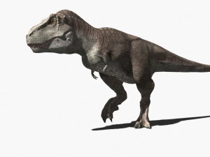 rex nest 3D Model