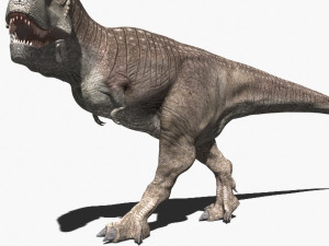 rex nest Modelo 3D
