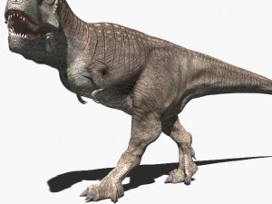 rex nest 3D Model
