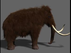 hollywood mammoth 3D Модель