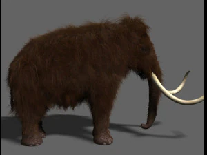 hollywood mammoth 3D Model