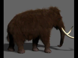 hollywood mammoth 3D Model