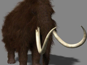 hollywood mammoth 3D Model