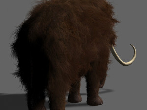 hollywood mammoth 3D Модель