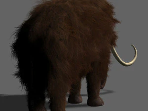 hollywood mammoth 3D Model