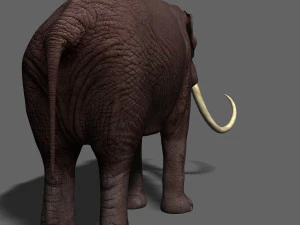 hollywood mammoth 3D Model