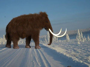hollywood mammoth 3D Model