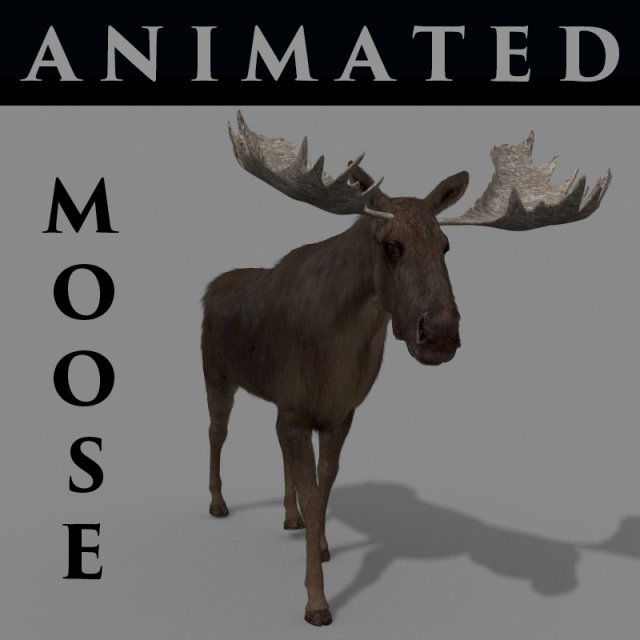 virtual moose 3D Model .c4d .max .obj .3ds .fbx .stl .blend 