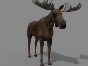 仮想ヘラジカ 3Dモデル