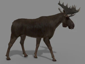 仮想ヘラジカ 3Dモデル