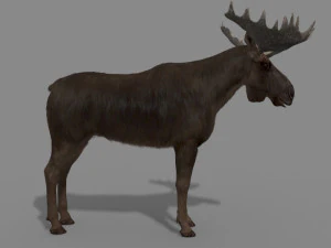 仮想ヘラジカ 3Dモデル