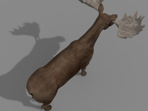 virtual moose 3D Model