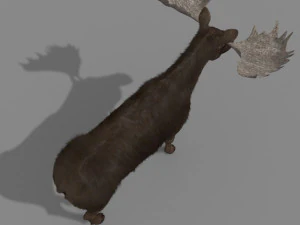 仮想ヘラジカ 3Dモデル