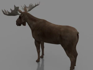 仮想ヘラジカ 3Dモデル