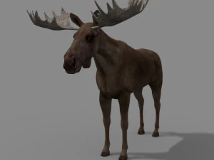 仮想ヘラジカ 3Dモデル