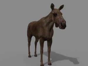 仮想ヘラジカ 3Dモデル