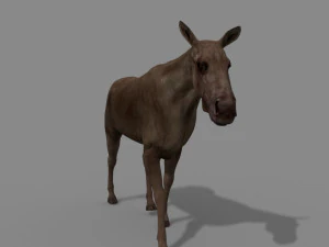 仮想ヘラジカ 3Dモデル