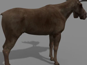 仮想ヘラジカ 3Dモデル