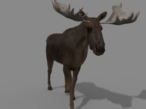 仮想ヘラジカ 3Dモデル