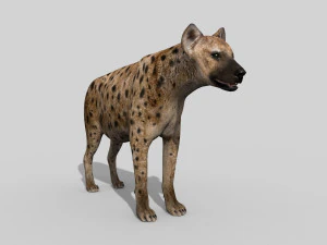 hyena value - 3d animated hyena model 3D Model