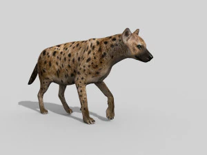 hyena value - 3d animated hyena model 3D Model