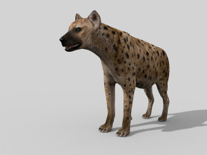 hyena value - 3d animated hyena model 3D 模型