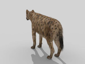 hyena value - 3d animated hyena model 3D Model