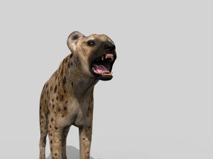 hyena value - 3d animated hyena model 3D Model