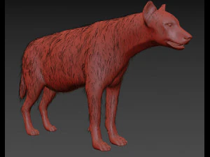 hyena value - 3d animated hyena model 3D Model
