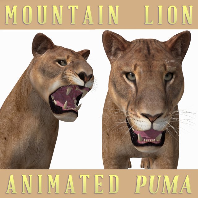 mountain lion 3D मॉडल .c4d .max .obj .3ds .fbx .stl .blend 