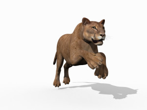 mountain lion 3D मॉडल