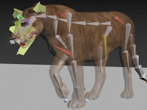 mountain lion 3D मॉडल