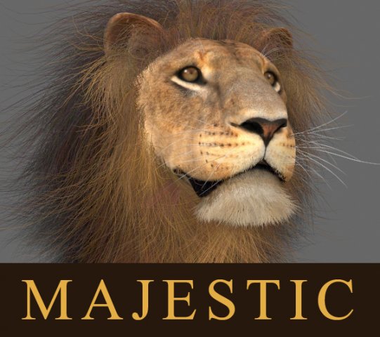 majestic lion 3D 模型 .c4d .max .obj .3ds .fbx .stl .blend 