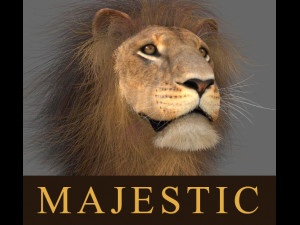 majestic lion 3D Model