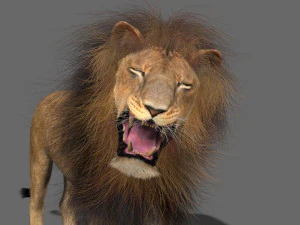 majestic lion 3D Model
