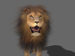 majestic lion 3D 模型