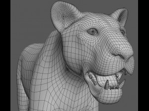 majestic lion 3D 模型