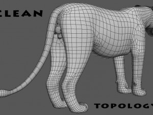 majestic lion 3D 模型