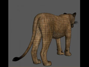 lioness fur 3D Model
